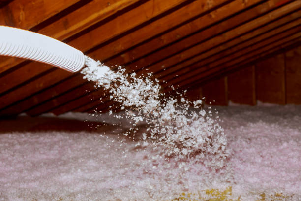 Best Fiberglass Insulation in Sunnyvale, TX